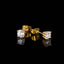 Four-claw Earrings Fashionable Temperament Sterling Silver Needle Hiphop Men And Women Earrings